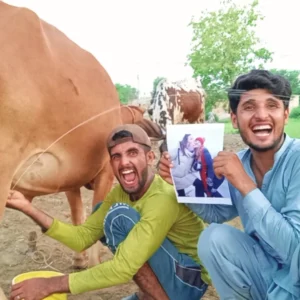 Funny Indian Cow Milking Greeting Video