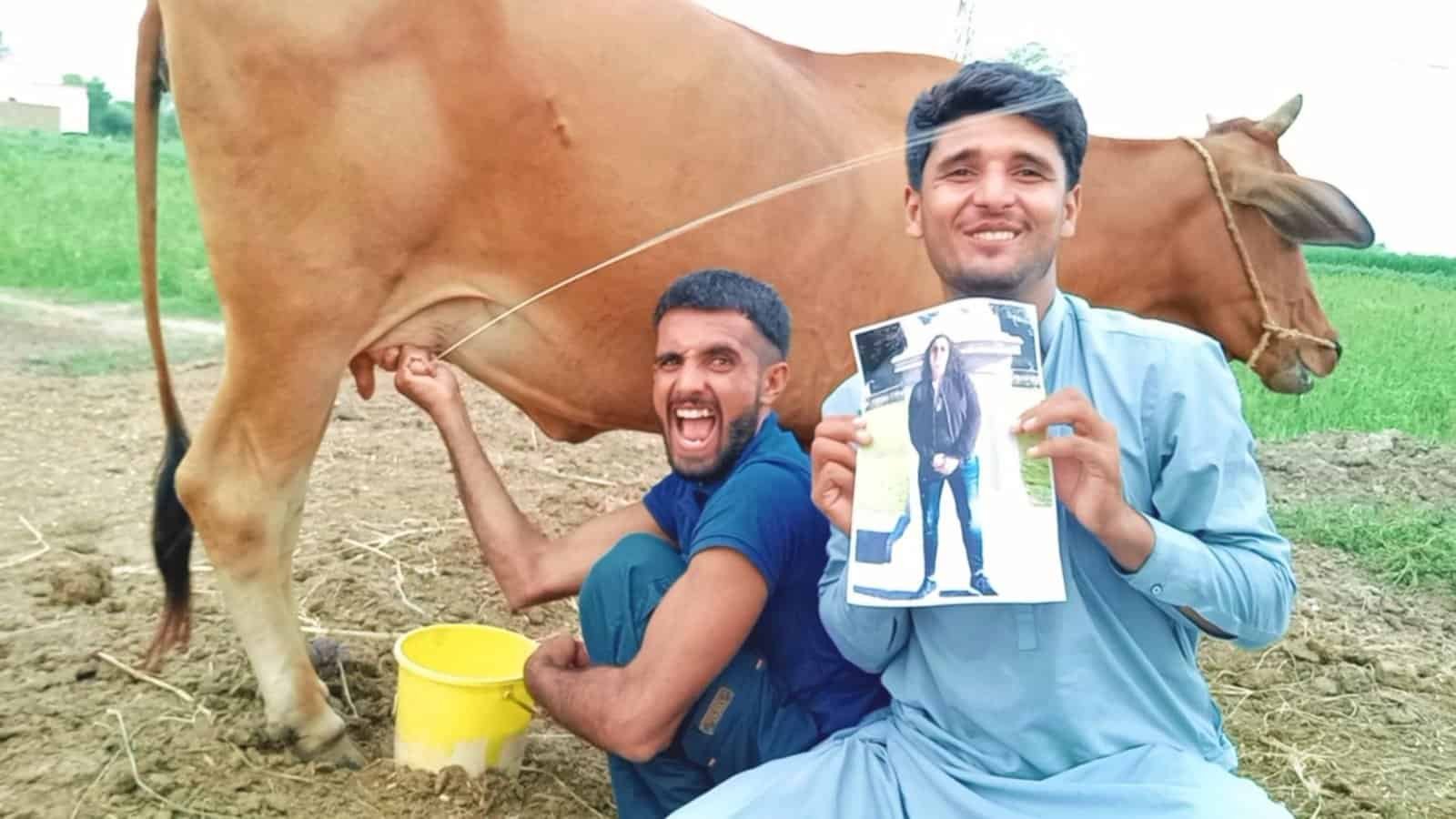 birthday wishes while milking a cow- African birthday videos